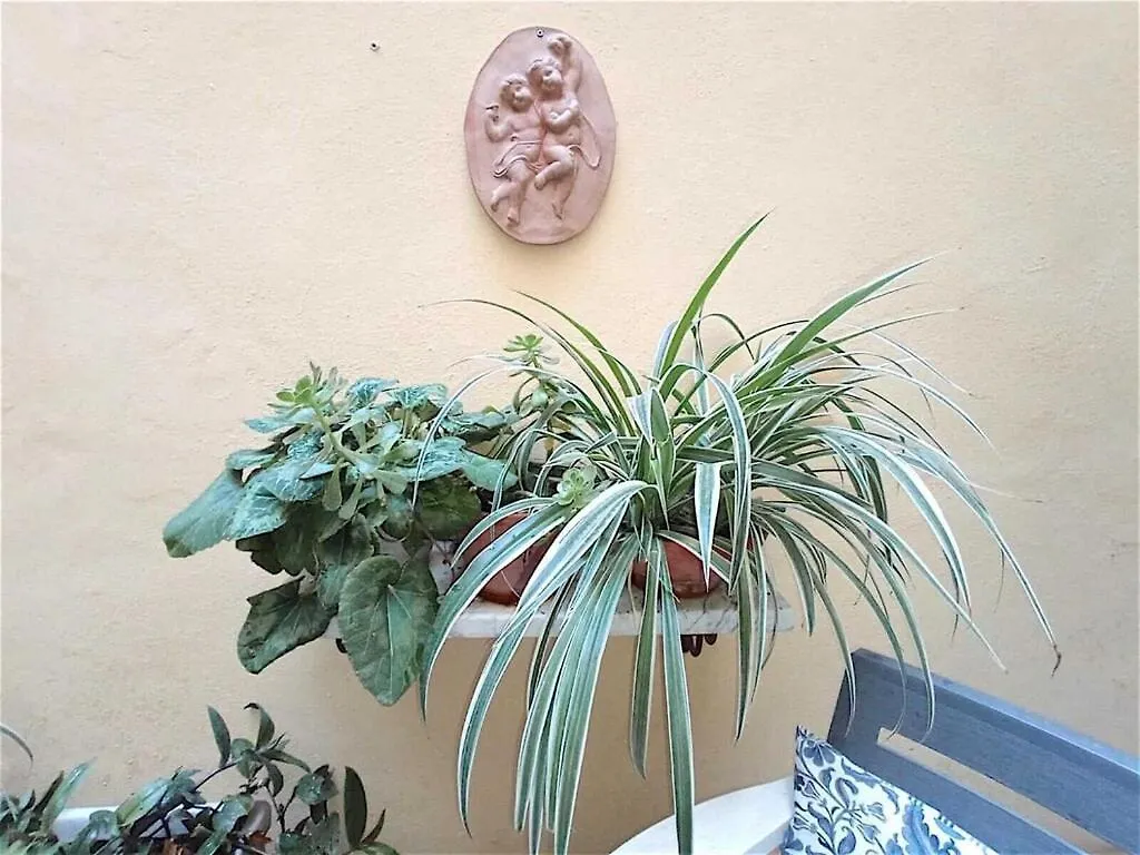 Amo E Flo Apartment Florence